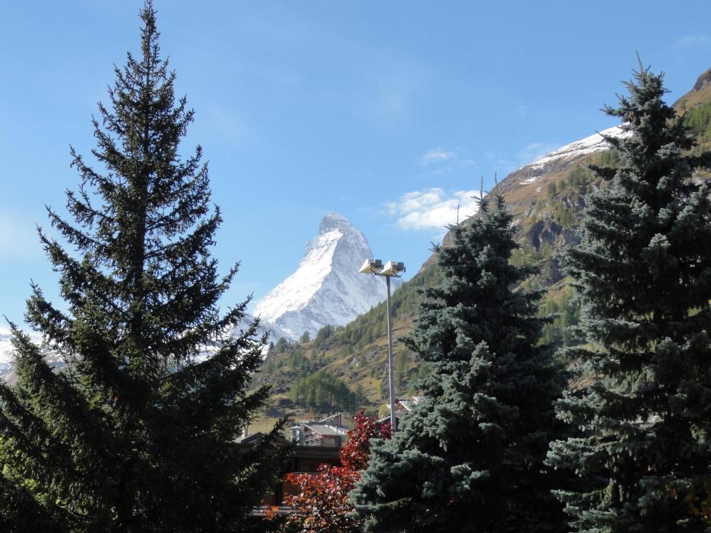 Hotel Cima Zermatt Extérieur photo